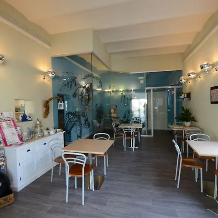 Lanterna Blu 세니갈리아